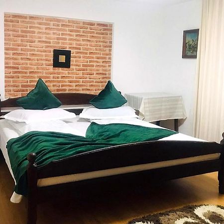 Apartament Sarco Villa Vatra Dornei Exterior foto